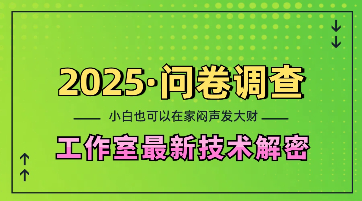 2025《问卷调查》最新工作室技术解密：一个人在家也可以闷声发大财，小白一天200+，可矩阵放大-一米多聚合推