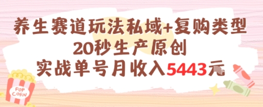 养生赛道玩法私域+复购类型，20秒生产原创实战单号月收入5k+-一米多聚合推