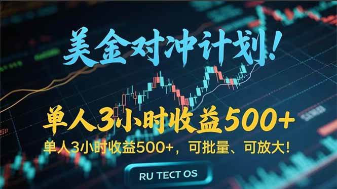 （15321期）长久稳定的撸美金项目，平均3小时收入 500+，可公司实地考察实地操作！-一米多聚合推