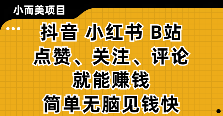 小而美的项目，抖音、小红书、B站视频点赞、关注、评论就能赚钱，简单无脑立见收益!妥妥的零撸项目-一米多聚合推