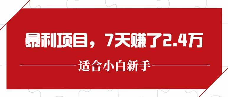 （15228期）最新暴利项目，每单收益轻松在300以上，7天赚了2.4万-一米多聚合推