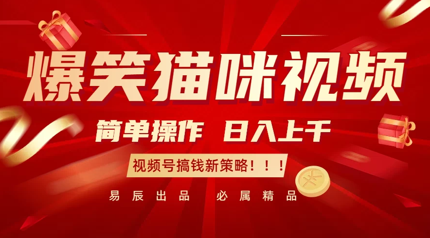 爆笑猫咪视频：简单操作，日入过千，视频号搞钱新策略！-一米多聚合推
