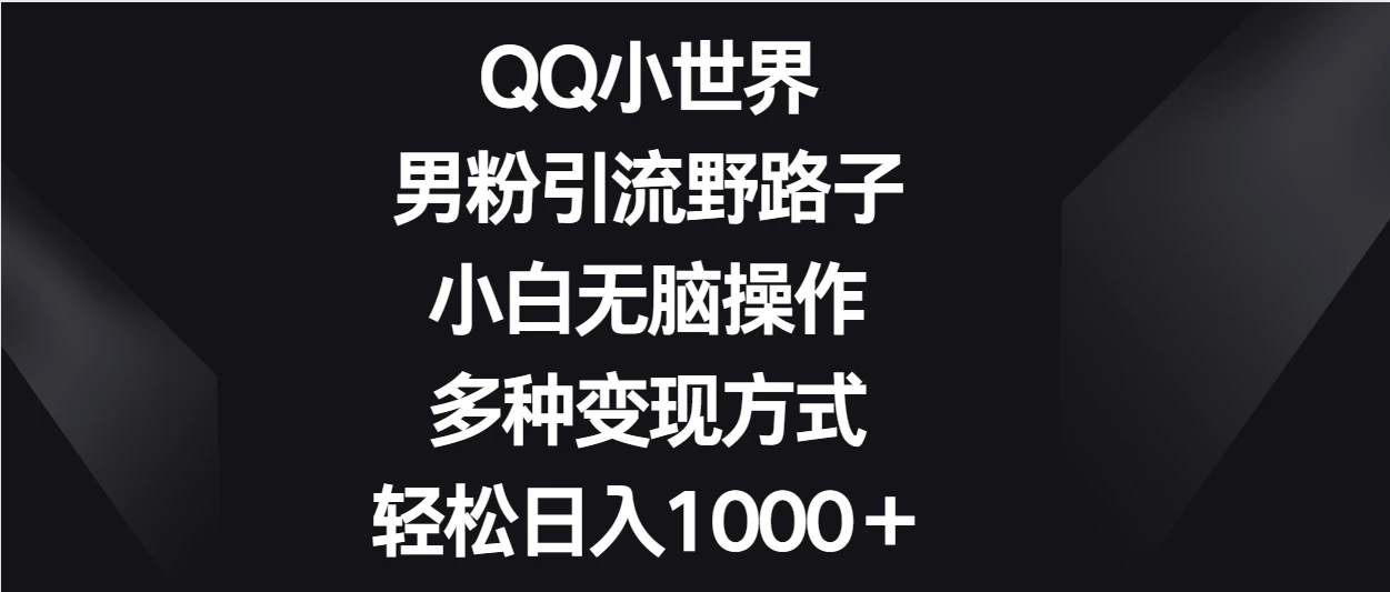 QQ小世界男粉引流野路子，小白无脑操作，多种变现方式轻松日入1000＋-一米多聚合推