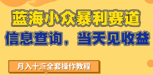 蓝海小众暴利赛道，信息查询，当天见收益，不讲玄学，7天搞了2W+-一米多聚合推