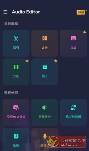 Audio Editor Pro Pro音频编辑器v1.01.72.0623专业版-一米多聚合推