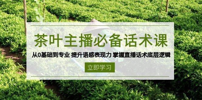 茶叶主播必备话术课 从0基础到专业 提升语感表现力 掌握直播话术底层逻辑-一米多聚合推