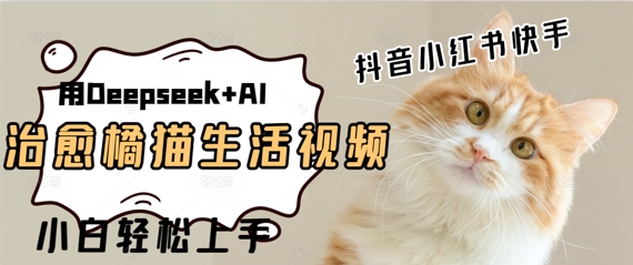 疯狂火爆，用Deepseek+AI做治愈橘猫系列视频，小白轻松制作+快速拿到结果-一米多聚合推