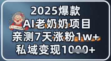 2025爆款 AI 老奶奶项目：亲测 7 天涨粉 1W+，私域变现 1k+-一米多聚合推