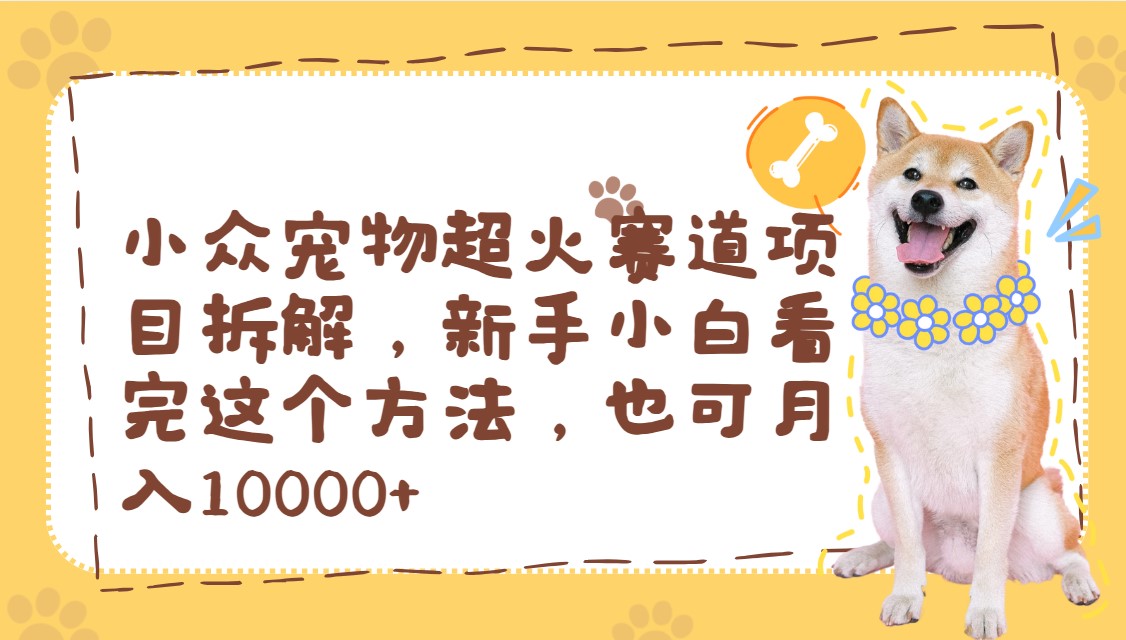 小众宠物超火赛道项目拆解，新手小白看完这个方法，也可月入10000+-一米多聚合推