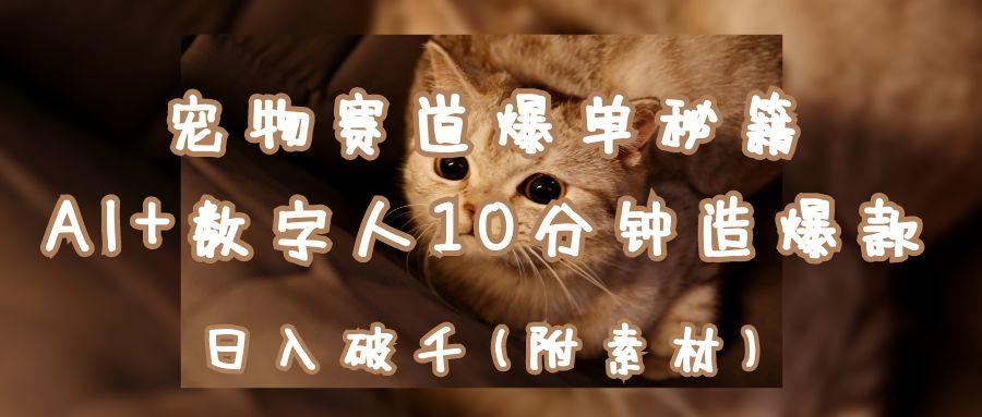 宠物赛道爆单秘籍：AI+数字人10分钟造爆款，日入破千-一米多聚合推