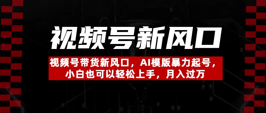视频号带货新风口，AI模版暴力起号，小白也可以轻松上手，月入过万-一米多聚合推