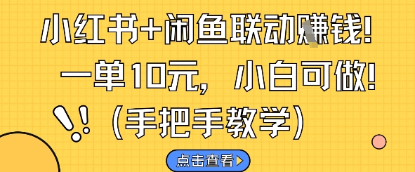 小红书+闲鱼联动挣钱，一单10元，小白可做-一米多聚合推