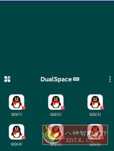 DualSpace Pro 轻松多开v3.0.2专业版-一米多聚合推