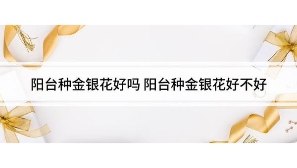 阳台种金银花风水好吗-一米多聚合推
