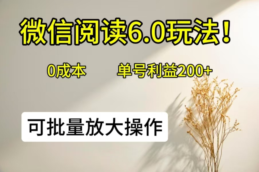 微信阅读6.0玩法！0撸，单号利益200+，可批量放大操作-一米多聚合推