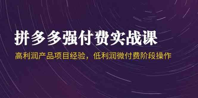 拼多多强付费实战课-44期，高利润产品项目经验，低利润微付费阶段操作-一米多聚合推