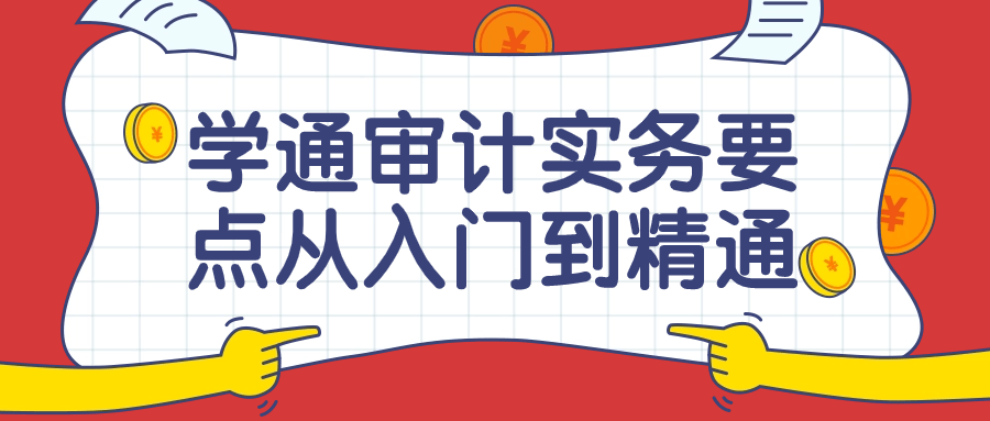 学通审计实务要点从入门到精通课-一米多聚合推