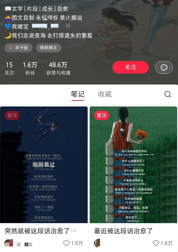小红书治愈文案图文笔记，零门槛，一分钟制作轻松制作爆款作品月入万元-一米多聚合推