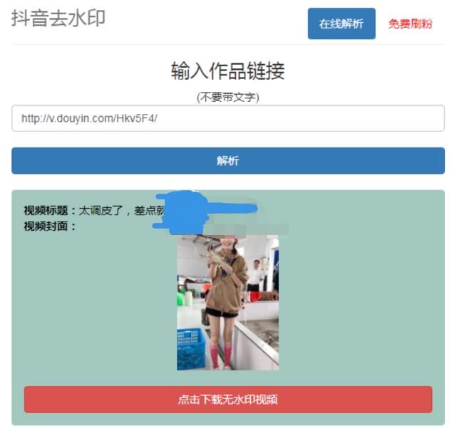 抖音在线去水印网站PHP源码-一米多聚合推