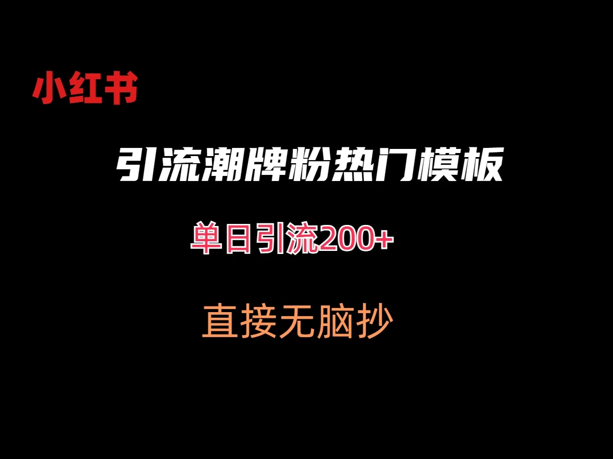 最新小红书无脑套模板单日引流200+潮牌粉-一米多聚合推