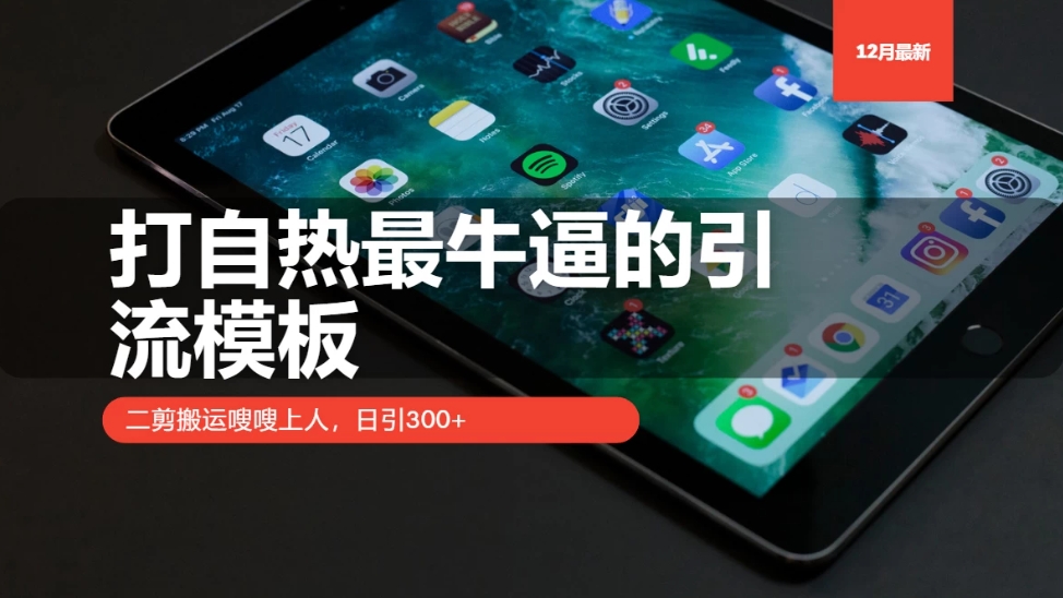 打自热最牛逼的引流模板，二剪搬运嗖嗖上人，日引300+-一米多聚合推