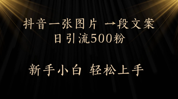 每天2分钟，抖音一张图片 一段文案日引流500粉-一米多聚合推