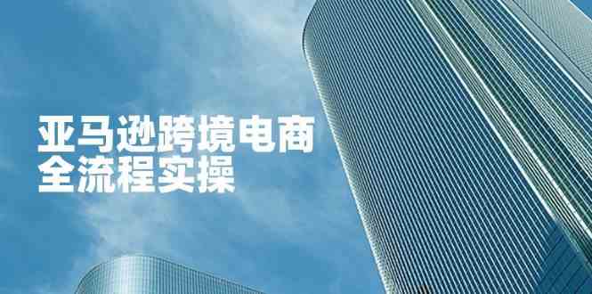 亚马逊跨境电商全流程实操，教你从零开始，掌握店铺运营与广告技巧-一米多聚合推