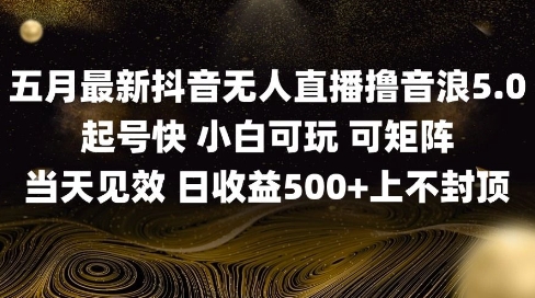2025五月最新无人直播撸音浪单日产出5张+实操教程【揭秘】-一米多聚合推