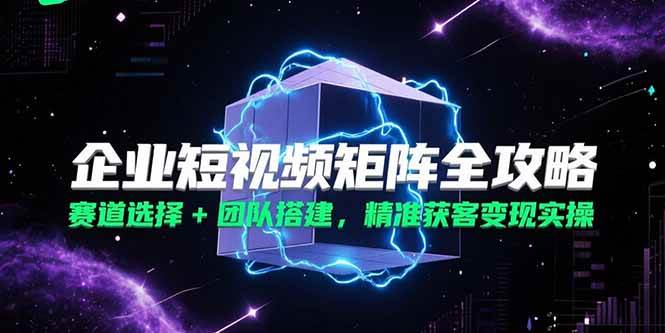 （15242期）企业短视频矩阵全攻略，赛道选择+团队搭建，精准获客变现实操-一米多聚合推