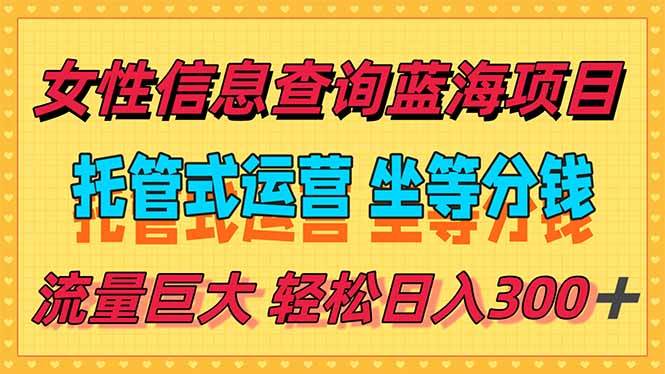 （15216期）稳定日入300＋，小众信息查询蓝海项目，全程懒人式托管，解放你的时间-一米多聚合推